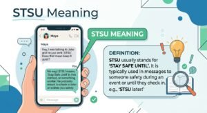 STSU Meaning in Text